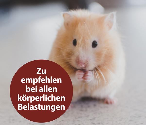 Quiko® Ergänzungsfutter für Nager