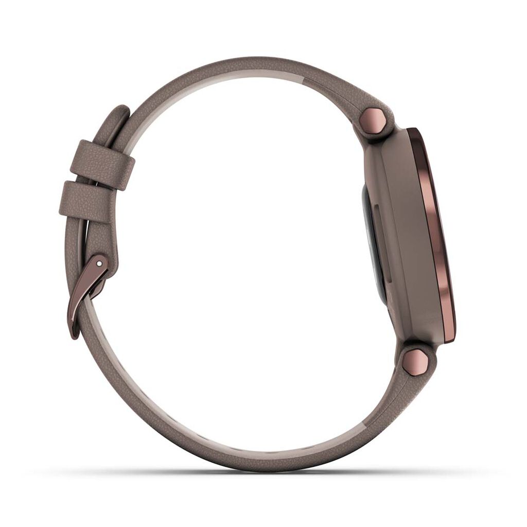 Montre Connectée Garmin Lily