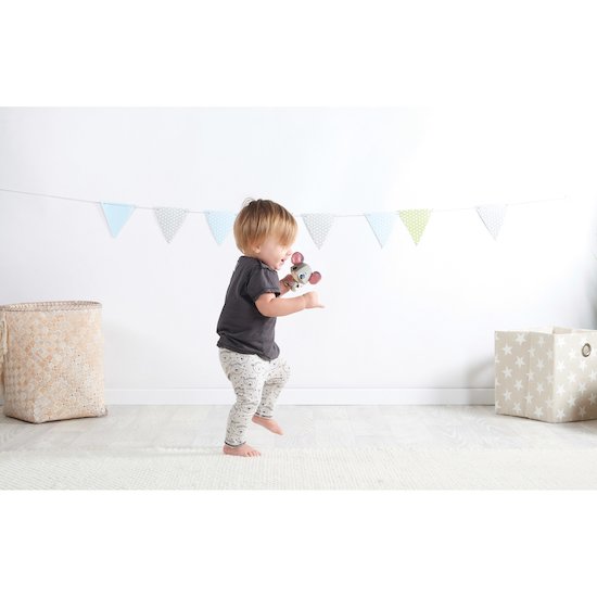 Wonder Buddies   Coco la souris        de               Tiny Love