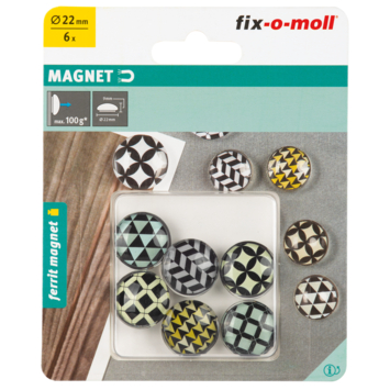 Magneet Glas Ferriet 22x9mm 6 stuks