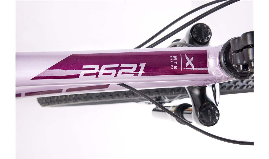 Mountainbike 2621 26
