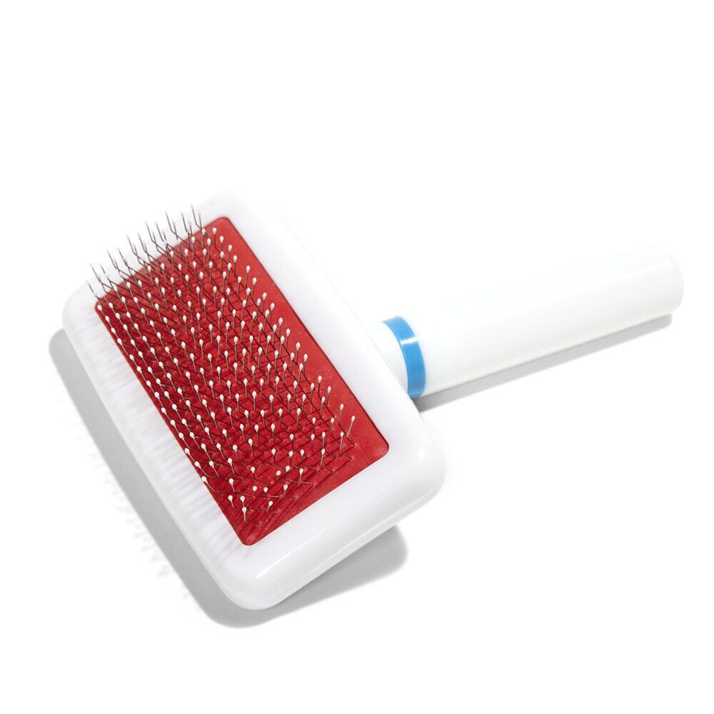 Brosse pour animaux