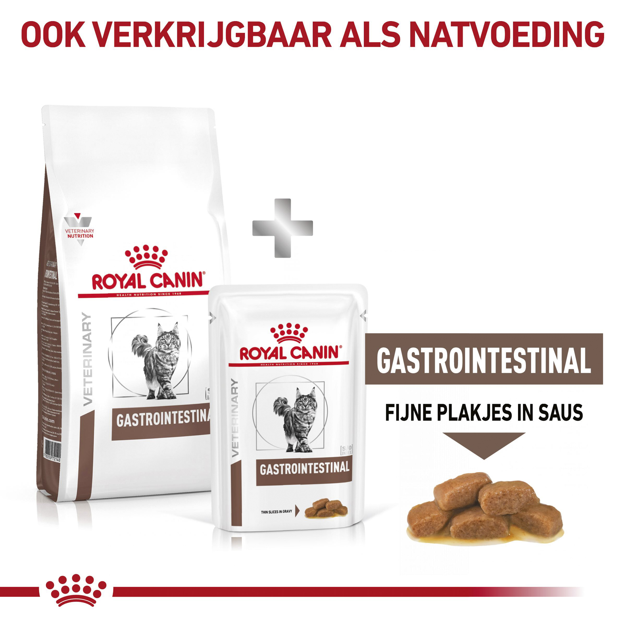 Royal Canin Gastrointestinal Kat