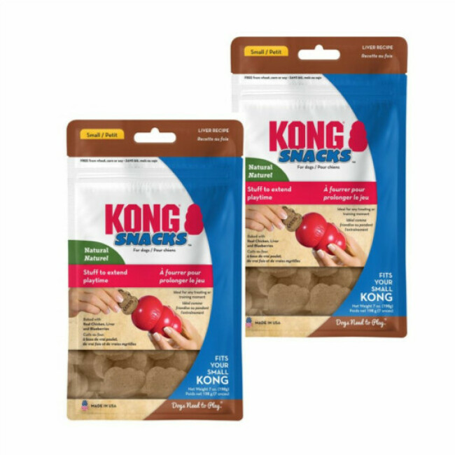 Biscuit KONG friandise pour jeu KONG