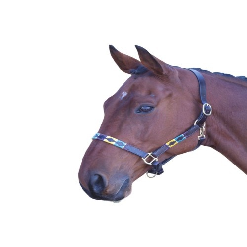 Cabresto de couro multicolorido Blenheim para cavalos e pôneis