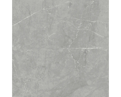 Steengoed wand- en vloertegel Davos grijs 60 x 60 x 0,9 cm glanzend