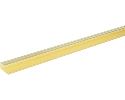 SKANDOR randprofiel, champagne geanodiseerd, voor 10-11 mm planken, 13x29x900 mm