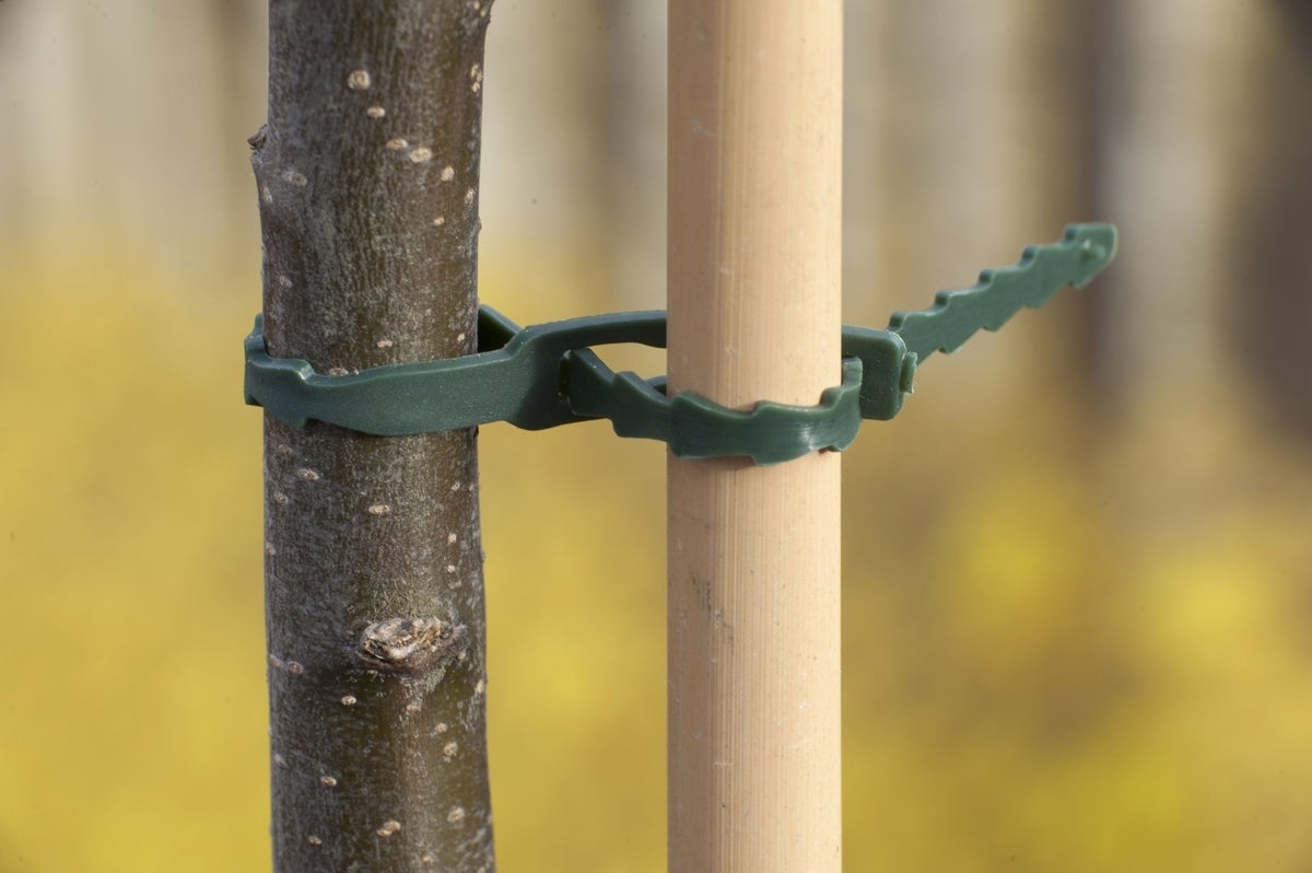 Nature Universele bindband met rattenstaartsluting11,5cm groen 70st