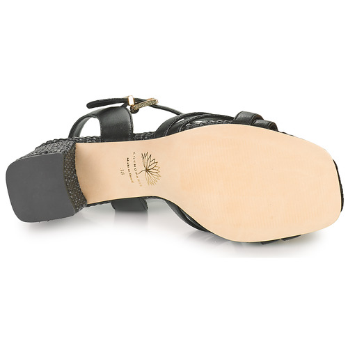 Cosmo Paris - ZAGGI-VEGRAF Negro