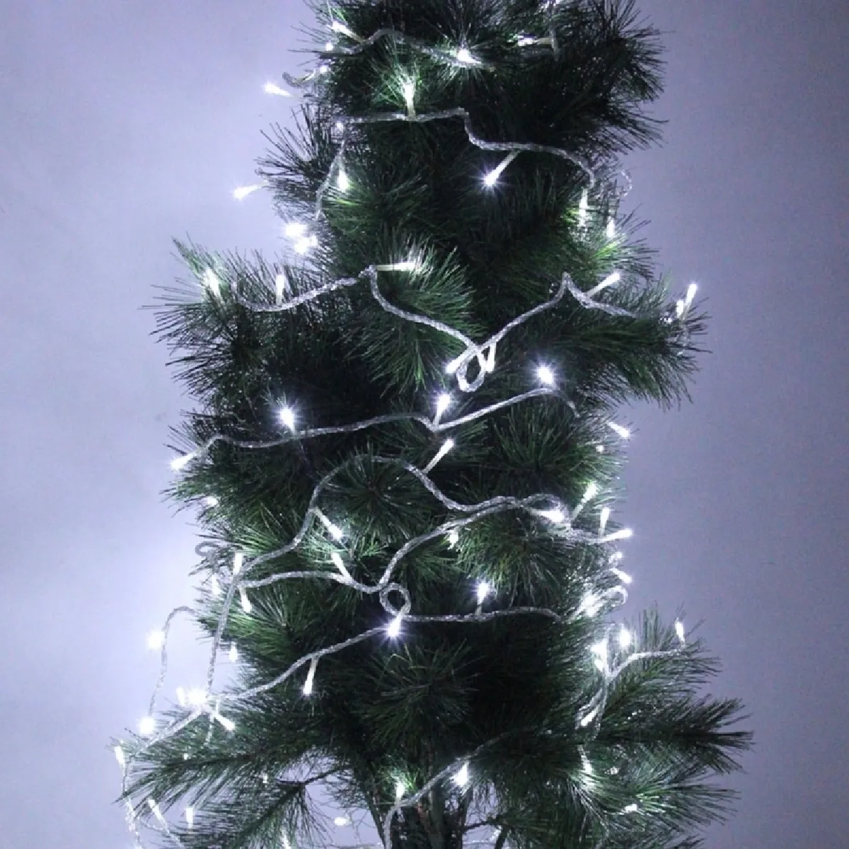 Wewoo Guirlande Noël 5m 50 LED