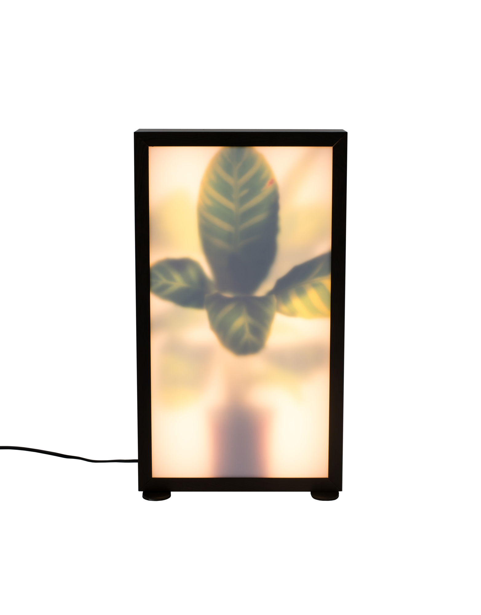 Vloerlamp Grow M