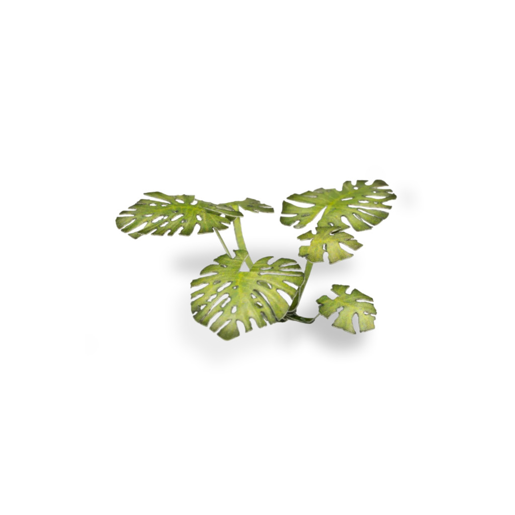 Laser Plants - Monstera