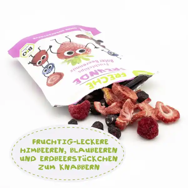 Bio Roter Beerenmix Fruchtchips