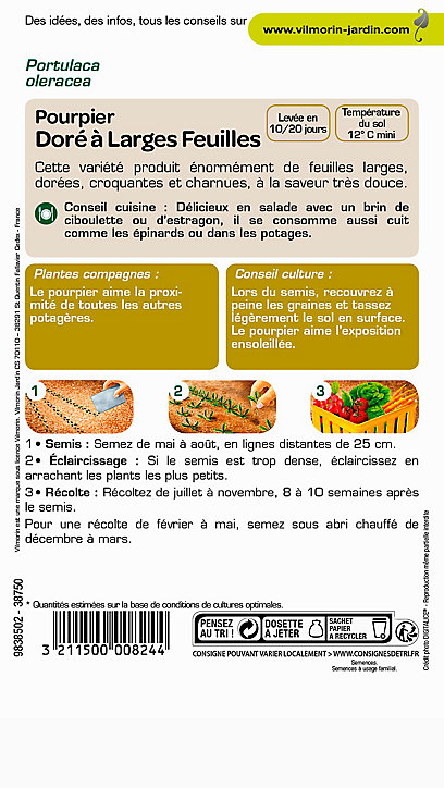 Graines de Pourpier Doré à Large Feuille Vilmorin
