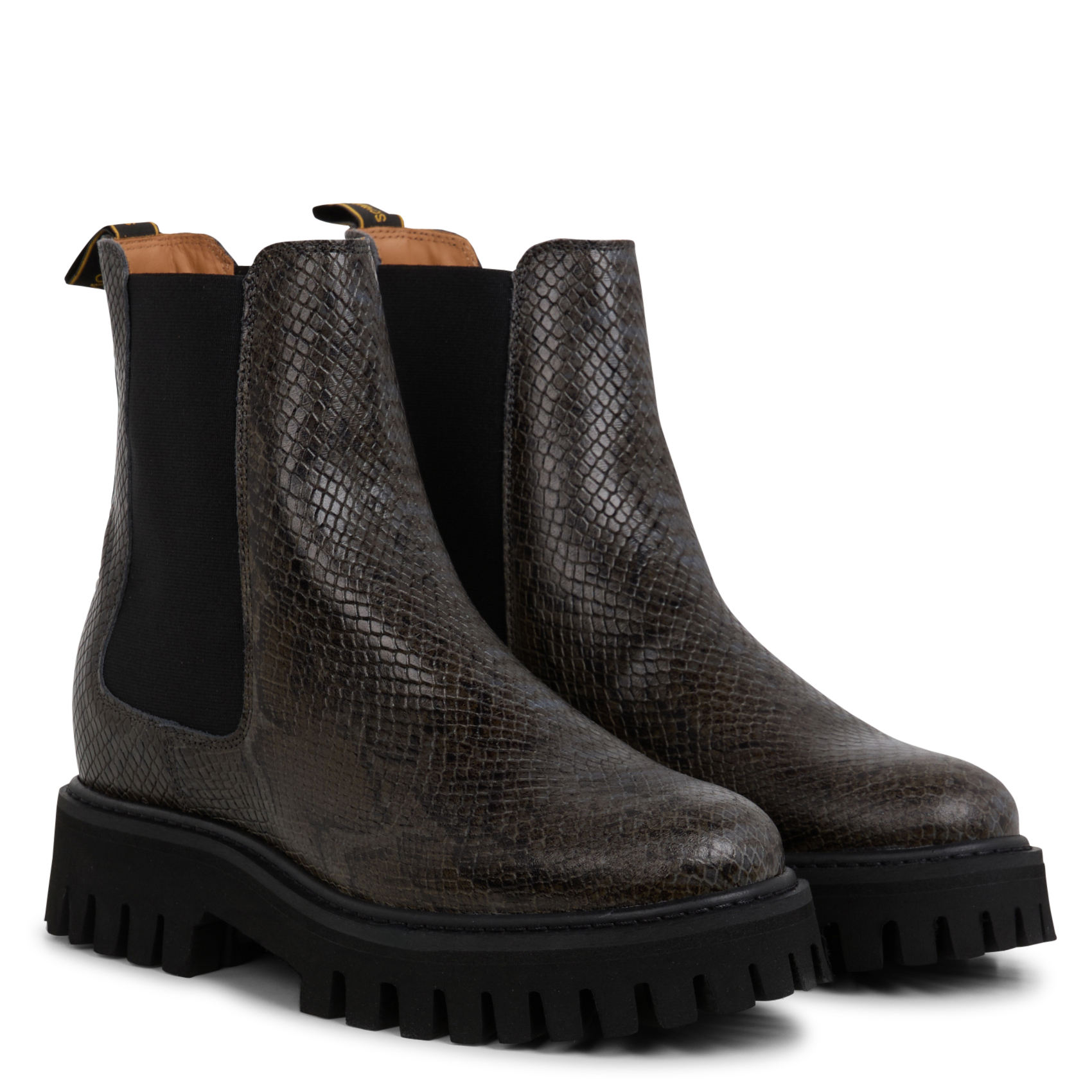 ROTTERDAM CHELSEA - Boots en cuir à imprimé python | Multicolore