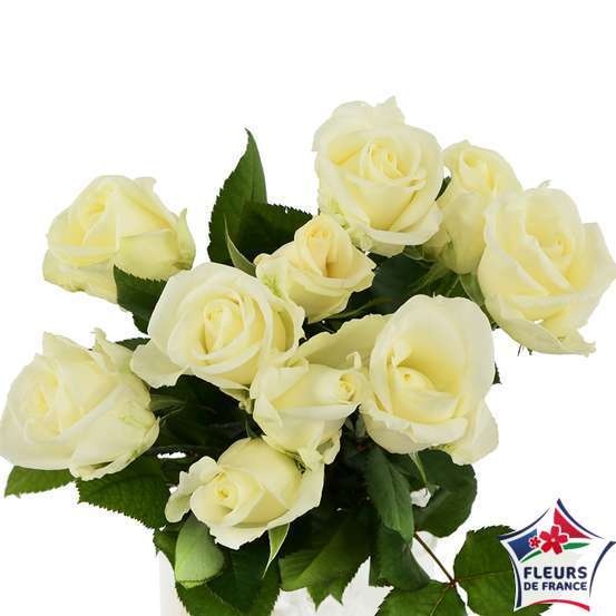 Botte 10 Roses ''Fleurs de France'' H.50cm coloris variables