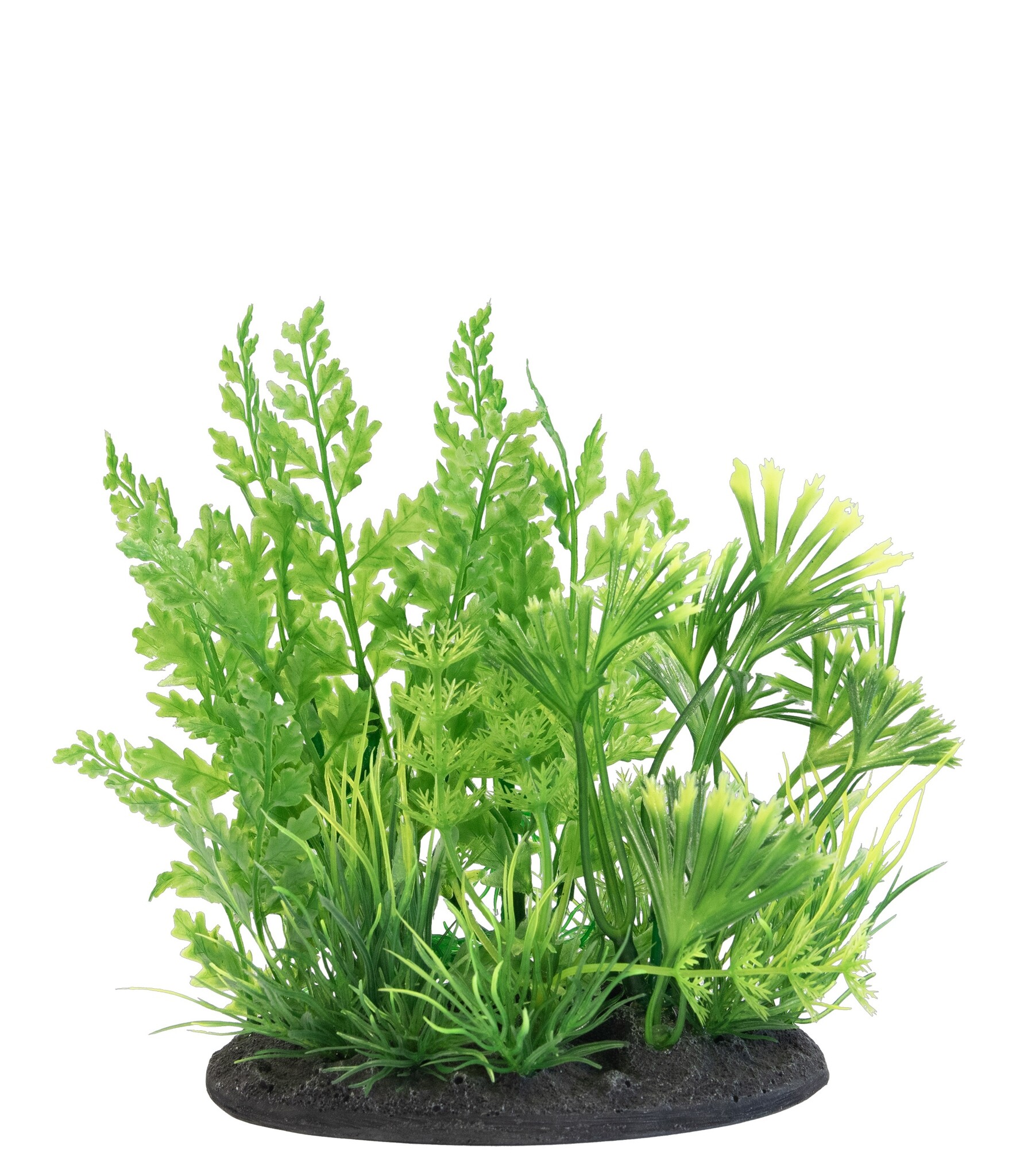 Deco Plant S1