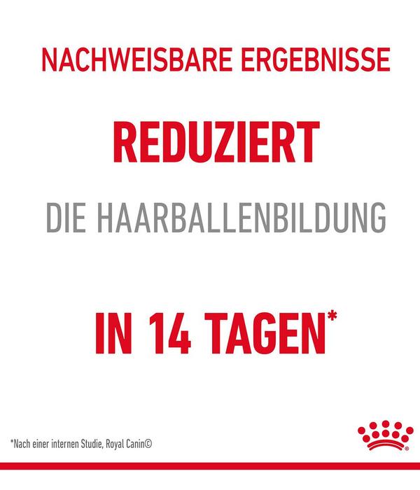 ROYAL CANIN® Trockenfutter für Katzen