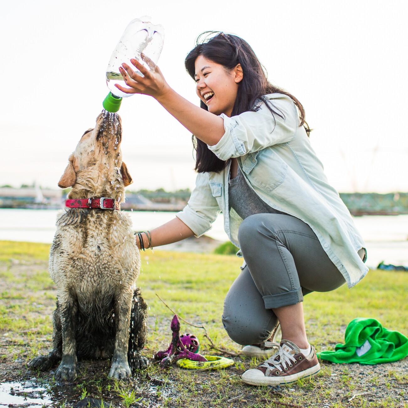 Josty Mud Dog Hunde-Reisedusche