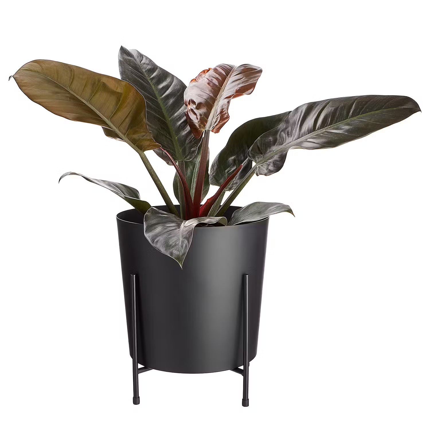 PLANTA Pflanztopf