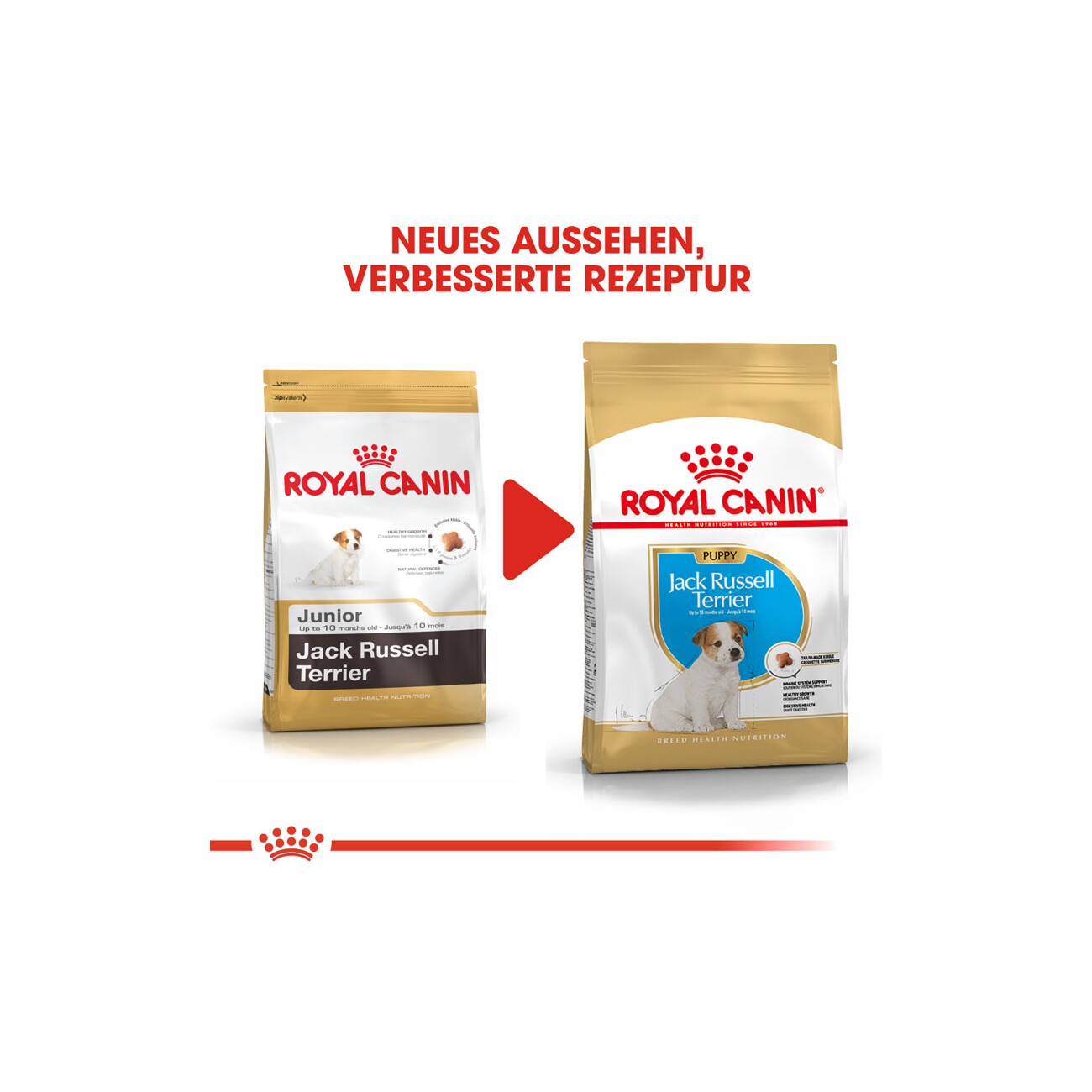 ROYAL CANIN Jack Russel Terrier Puppy 1,5 kg
