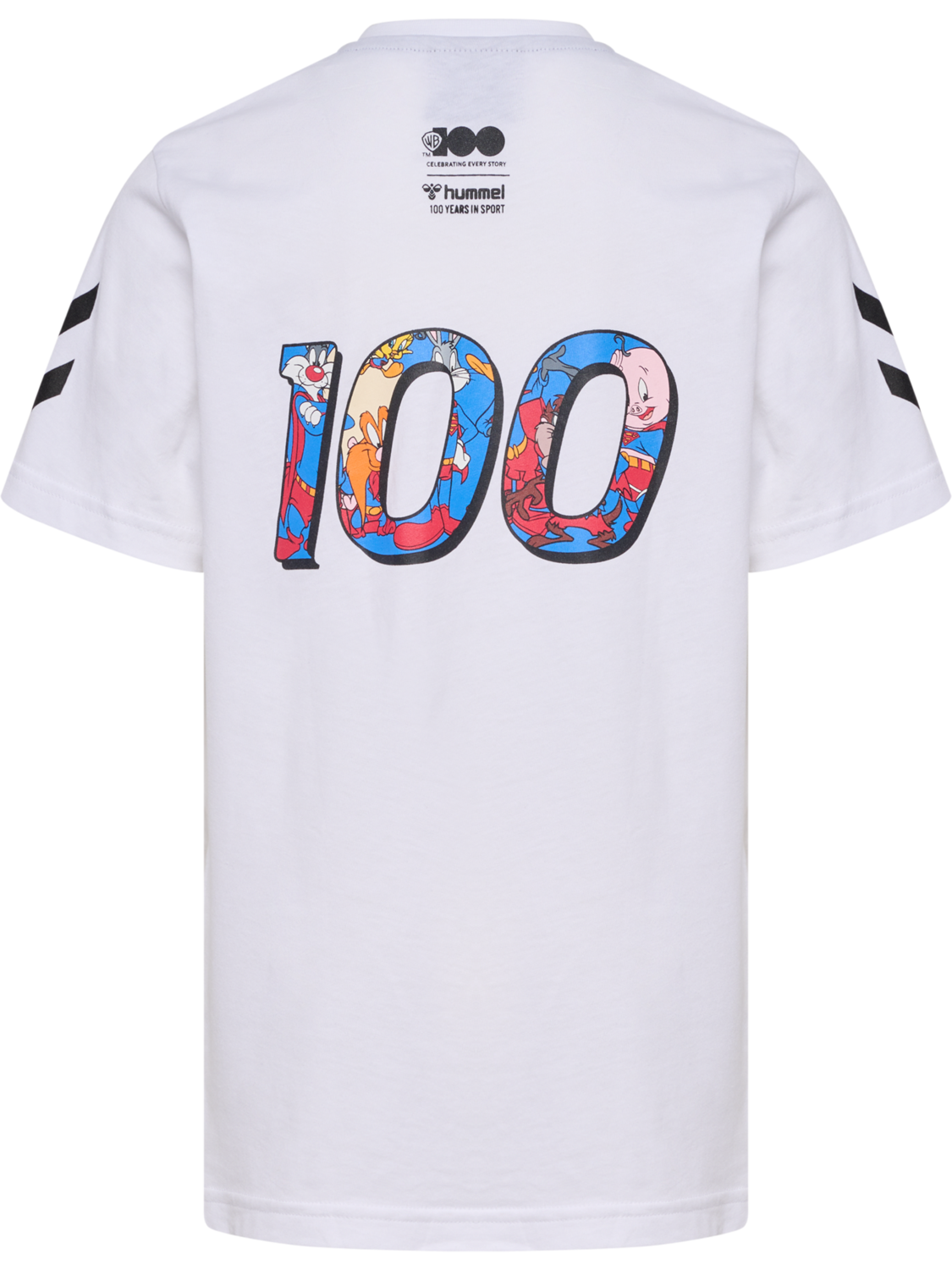 hmlCELEBRATING STORY T-SHIRT S/S