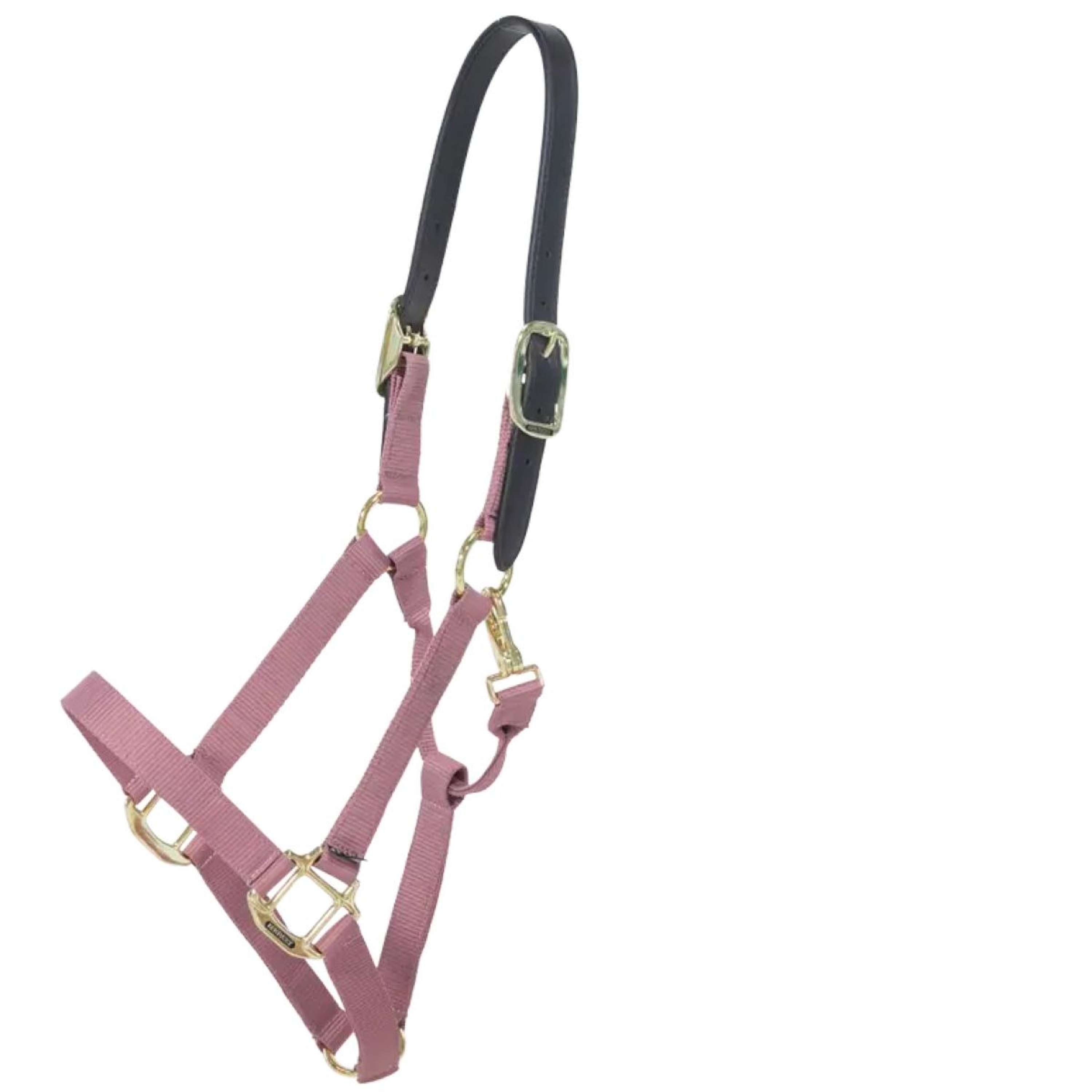 Kentucky Halster Nylon Breakaway Oud Roze