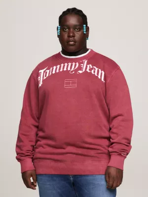 Moletom Plus Logo Relaxed Fit