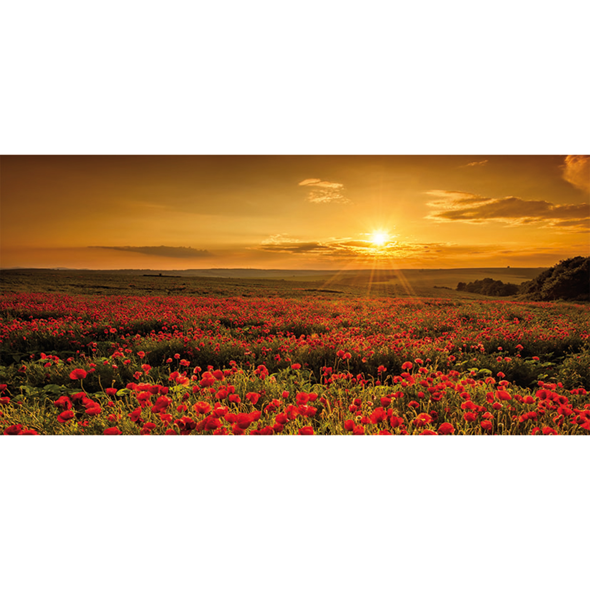Keilrahmenbild SONNENUNTERGANG - 70x33 cm