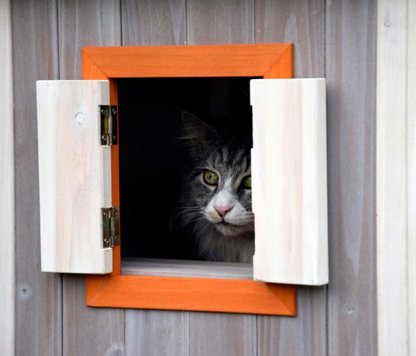 dobar® petlife Katzenhaus Fany Cat, ca.