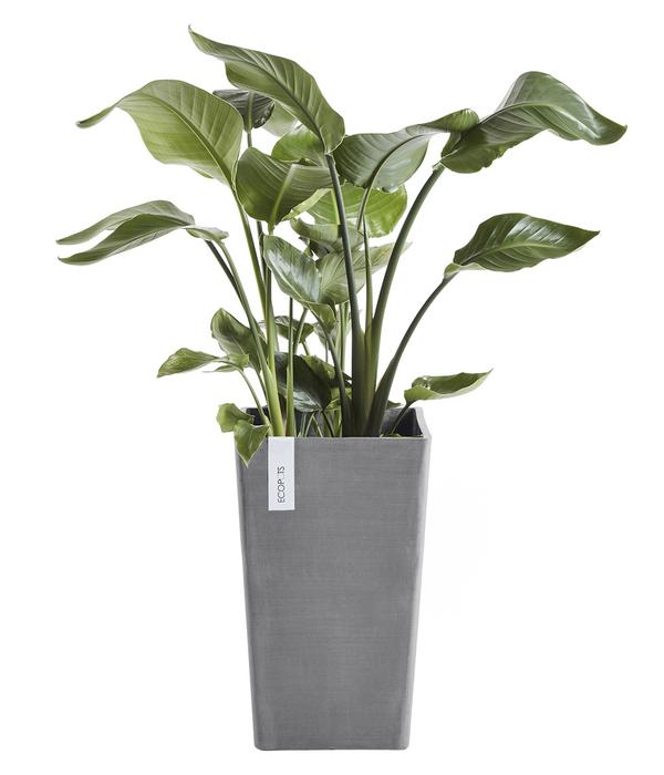 Ecopots Kunststoff-Topf Rotterdam Hoch,