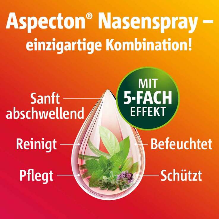 Aspecton® Nasenspray, 20 ml
