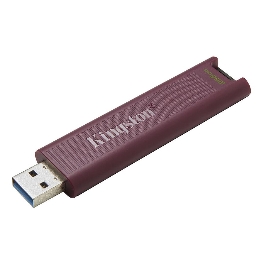 Kingston DataTraveler Max 256 Go (USB-A)