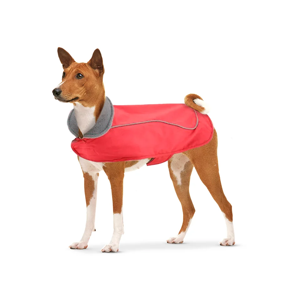 Capa de chuva vermelha com capuz da Outech para cães