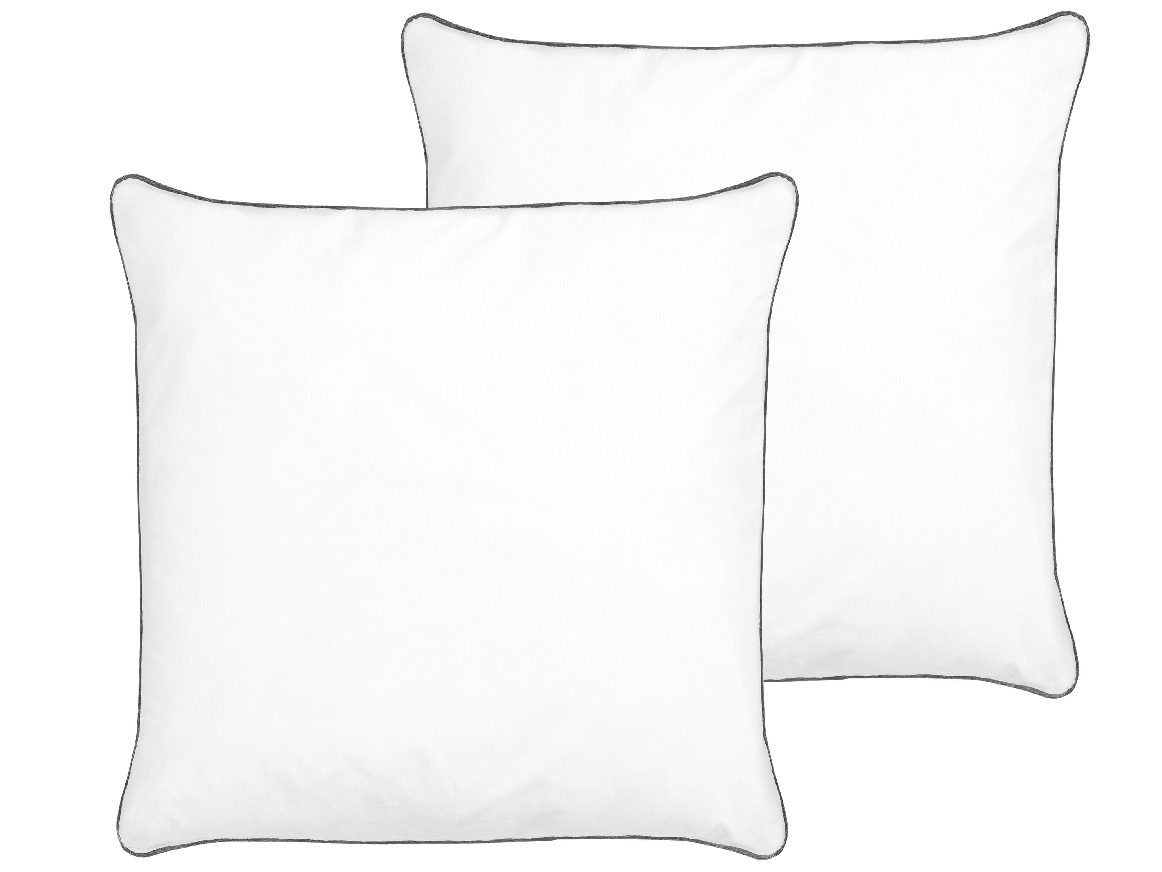 Set van 2 kussens PELISTER Laag Microvezel 80 x 80 cm Wit