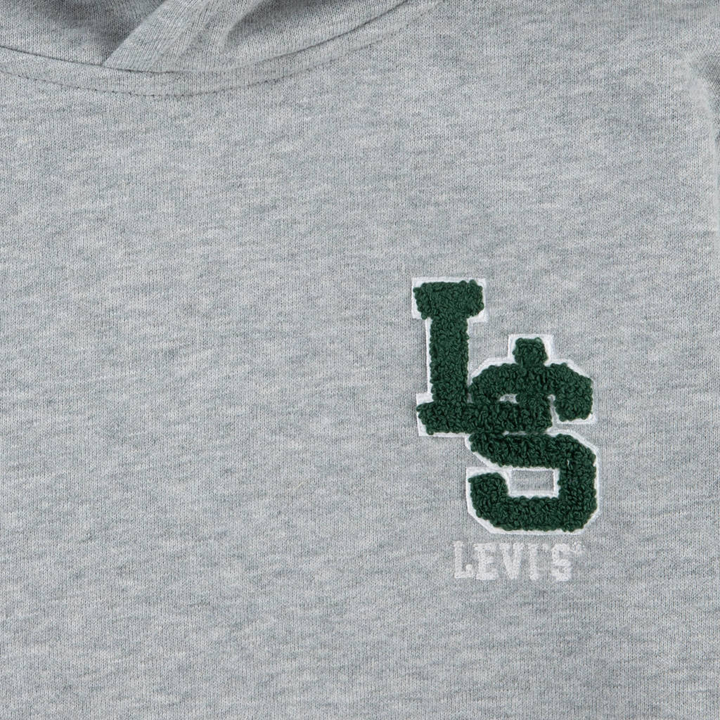 Levi's hoodie MONOGRAM met printopdruk en borduursels grijs melange