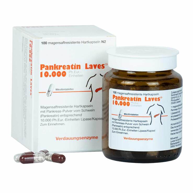 Pankreatin Laves 10.000 Ph.Eur.-Einh.magensaftresistent Hartkapseln , 100 St
