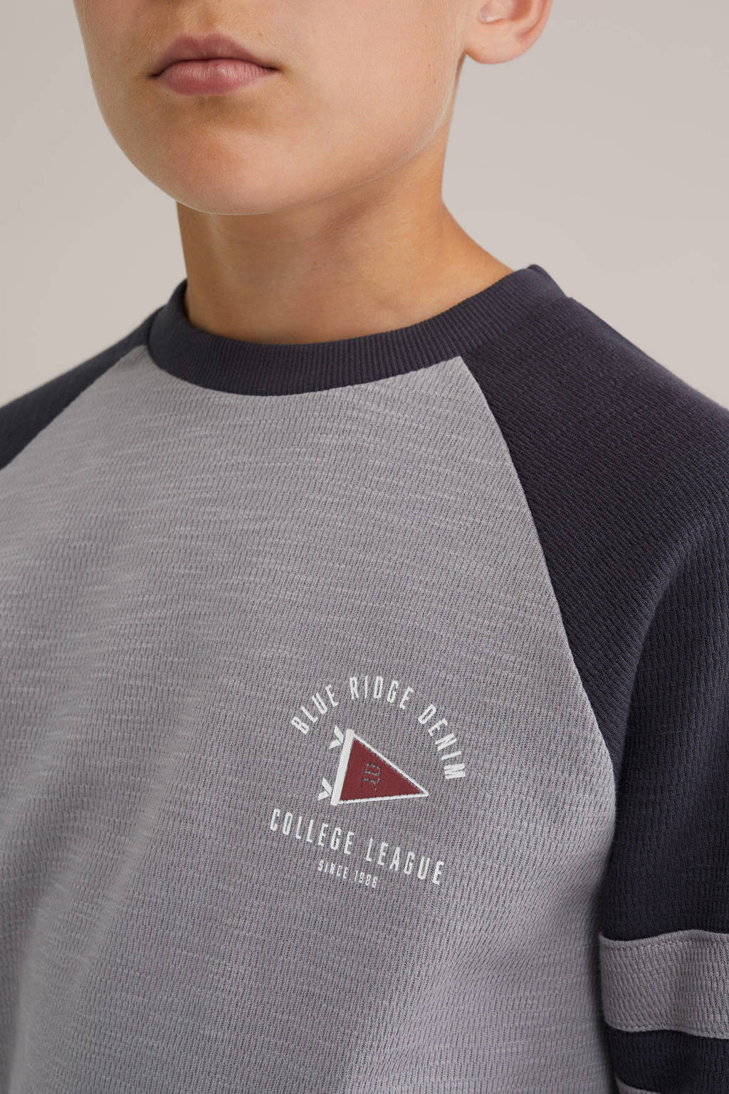 WE Fashion Blue Ridge sweater antraciet