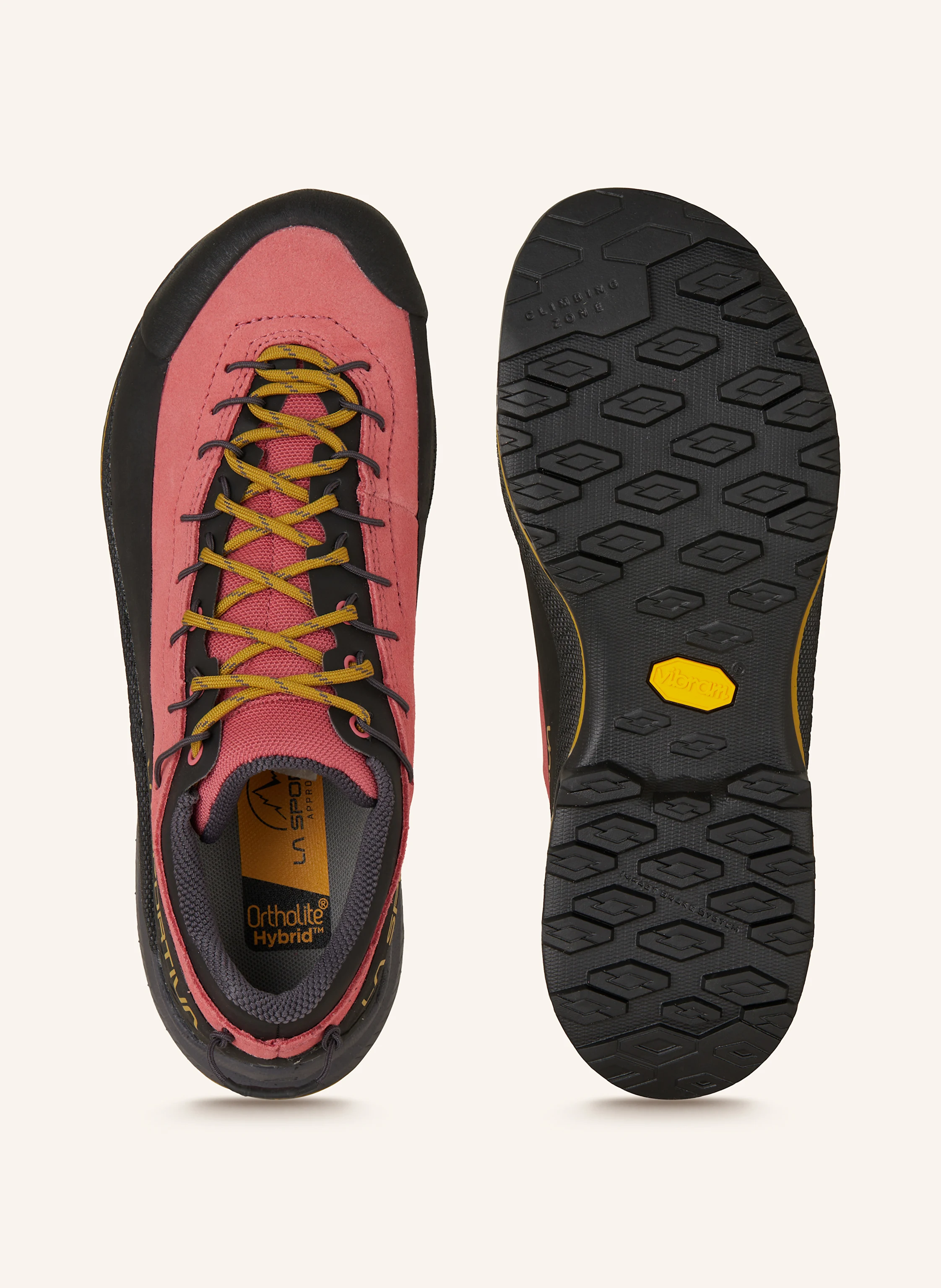 LA SPORTIVA Wanderschuhe TX4 EVO