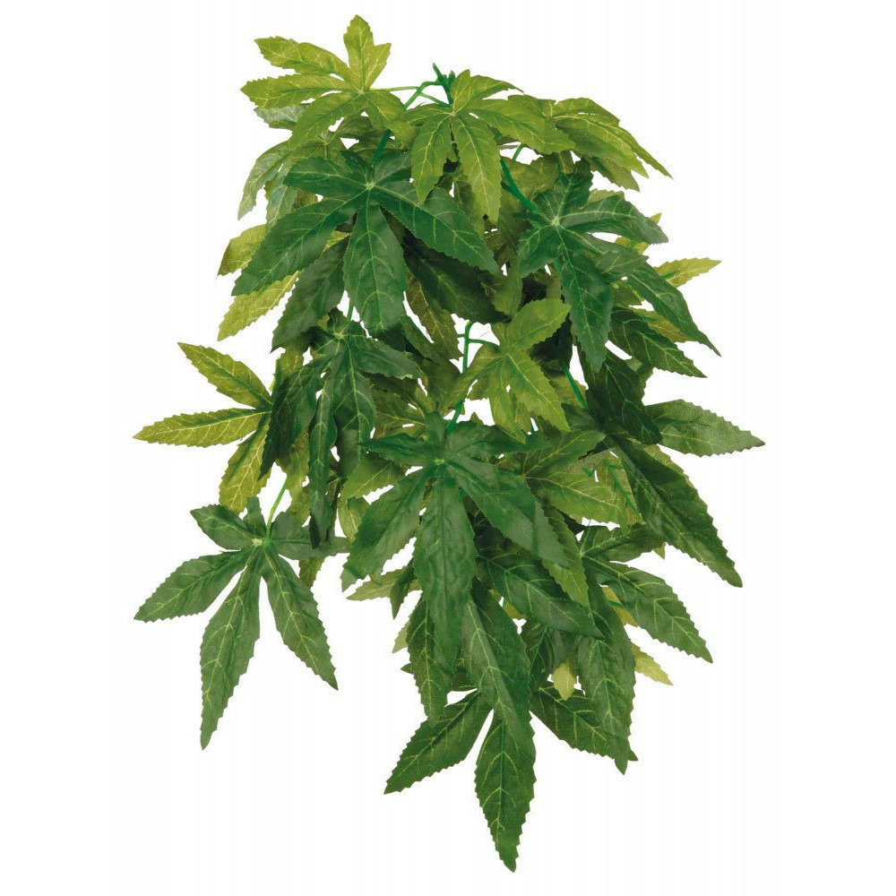 Plante tissu à suspendre 30 cm, avec ventouse, abutilon, pour reptile ou am