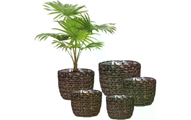 Scheurich Blumentopf »scheurich«