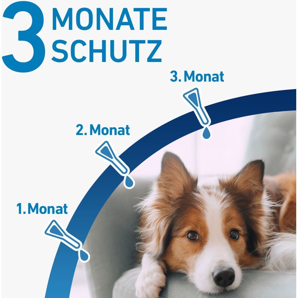 FRONTLINE® SPOT ON Hund (20-40kg) gegen Zecken und Flöhe