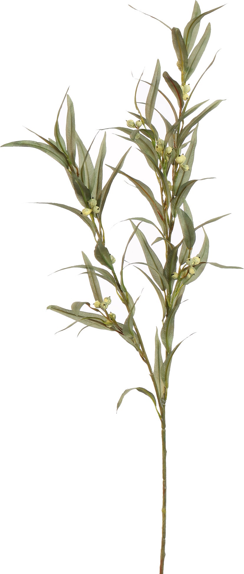 Jasaco Pure kunstbloem Eucalyptus groen 88 cm