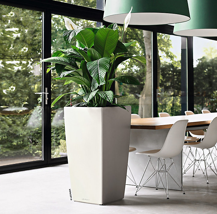 Pot carré Lechuza Premium blanc brillant 50 x 50 x h.95 cm