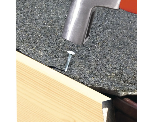 Dakspijkers 2x20 mm, verzinkt, 1400 stuks