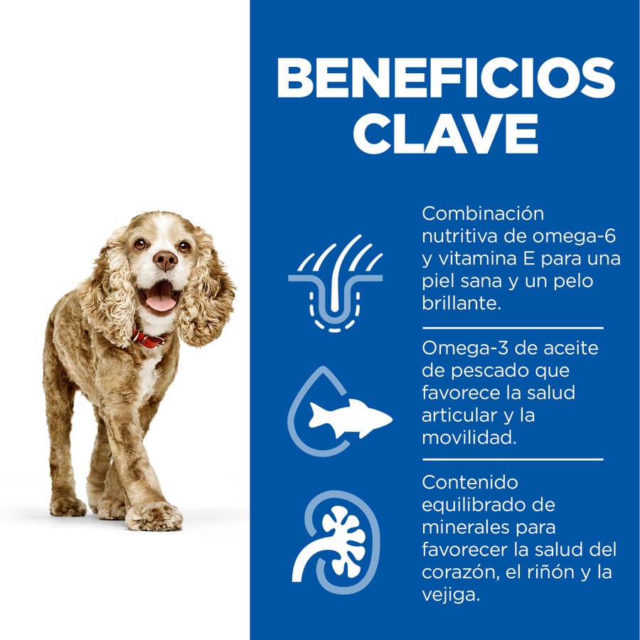 Ração para cães Hill's Science Plan Senior 11+ de pequeno e pequeno porte com sabor de frango