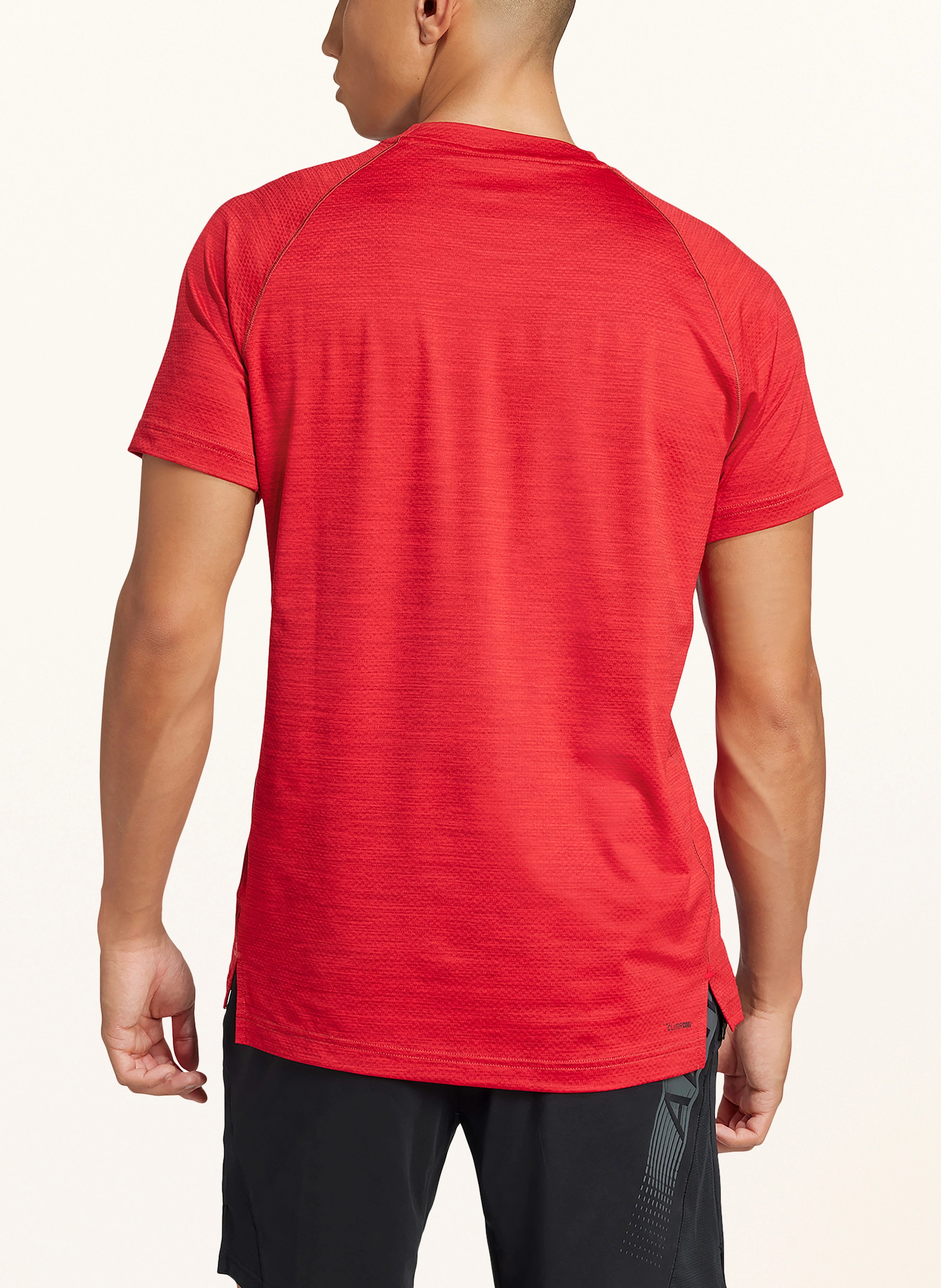 adidas T-Shirt GYM+