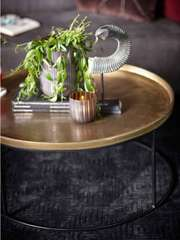 LS Northland goud M