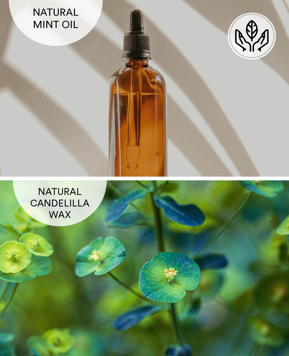 (3er Set) 30m Naturzahnseide mit Mintgeschmack / Vegan / Plastikfrei / Biologisch abbaubar
