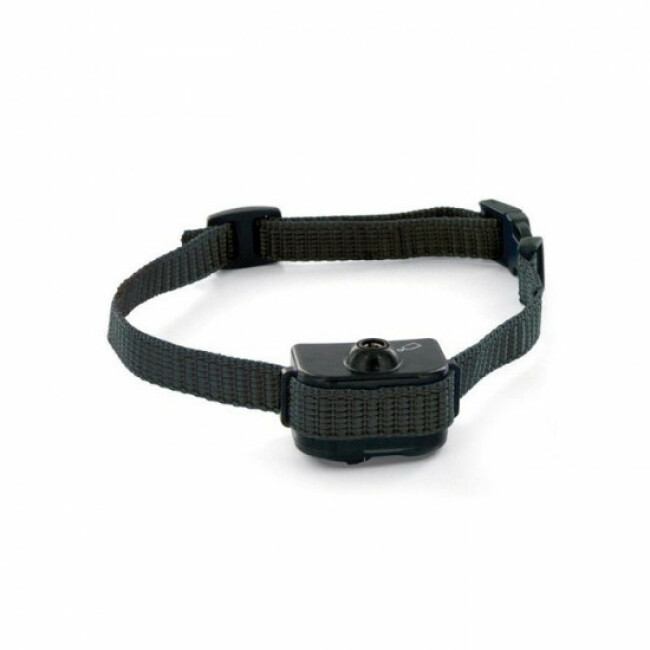Collier anti-aboiement Petsafe en spray pour petits et moyens chiens